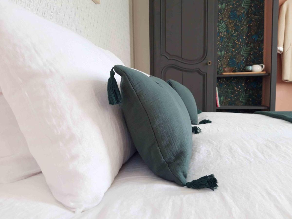 Maison Chemin, Chambres D'Hotes A أمبُواز المظهر الخارجي الصورة